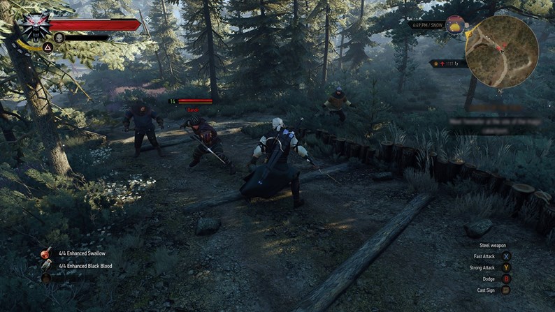 Witcher3Screen3